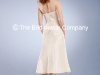 Darcy-back.jpg