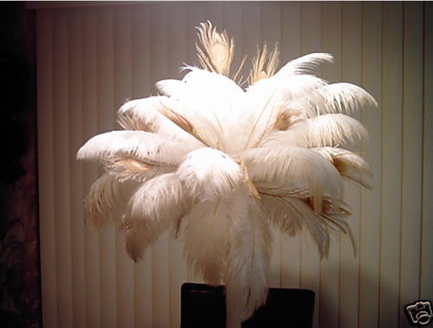 mistaken Danube hard e Nunti este pentru tine » Blog Archive » Decor modern din pene de strut si paun 12 mistaken Danube hard e Nunti este pentru tine » Blog Archive » Decor modern din pene de strut si paun 12