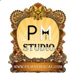 Logo PM Studio mic.jpg (346 KB)