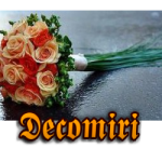 decomiri2.png (116 KB)