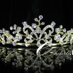 diadem_mireasa74116464_o