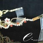 diademe155630201_o