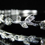 diademe72277789_o